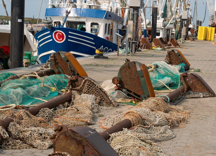 Der Fischereihafen