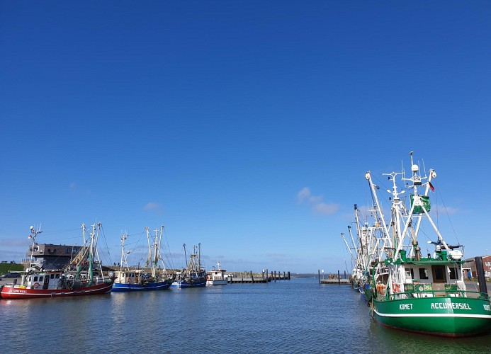 Der Hafen