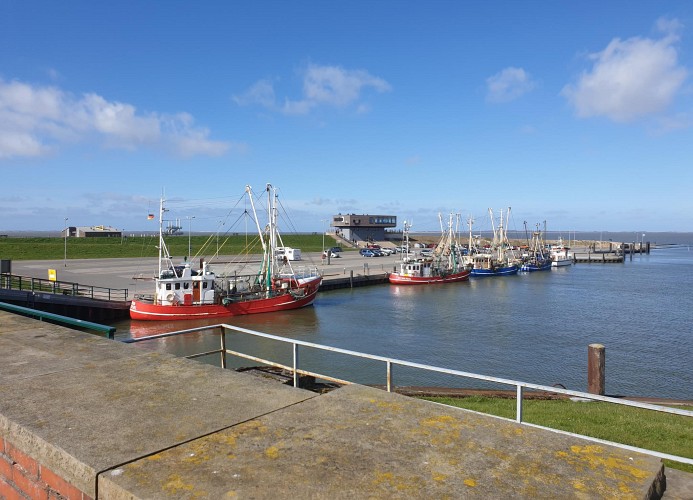 Der Hafen