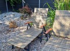 Der Garten